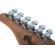 Schecter NJ Traditional H/S/S: Picture 1 thumbnail