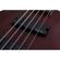 Schecter Omen-5: Picture 4 thumbnail