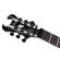 Schecter Synyster Standard: Picture 1 thumbnail