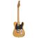 Schecter PT Standard: Picture 2 thumbnail