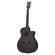 Schecter Deluxe Acoustic: Picture 1 thumbnail