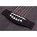 Schecter Deluxe Acoustic: Picture 4 thumbnail