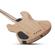 Schecter Michael Anthony: Picture 1 thumbnail
