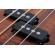 Schecter Michael Anthony: Picture 4 thumbnail