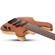 Schecter Michael Anthony: Picture 1 thumbnail