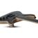 Schecter C-1 Apocalypse: Picture 1 thumbnail