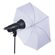 Studio Essentials Light Kit: Picture 1 thumbnail