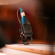 Sennheiser MZH Drum Clamp for MD 421 KOM...: Picture 7 thumbnail