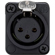 Sescom Wraith: Picture 3 thumbnail