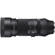 Sigma 100-400mm f/5-6.3 DG DN: Picture 2 thumbnail