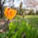 Sigma 12mm f/1.4 DC Contemporary Lens: Picture 9 thumbnail