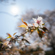 Sigma 12mm f/1.4 DC Contemporary Lens: Picture 12 thumbnail