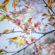 Sigma 12mm f/1.4 DC Contemporary Lens: Picture 10 thumbnail