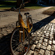Sigma 16mm f/1.4: Picture 9 thumbnail