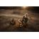Sigma 16-28mm f/2.8 DG DN: Picture 12 thumbnail