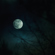 Sigma 16-300mm f/3.5-6.7: Picture 6 thumbnail