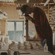 Sigma 17-40MM F/1.8: Picture 14 thumbnail