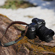 Sigma 18-50mm f/2.8 DC DN: Picture 14 thumbnail