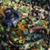 Sigma 18-50mm f/2.8 DC DN: Picture 8 thumbnail