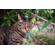 Sigma 18-50mm f/2.8 DC DN: Picture 10 thumbnail