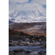 Sigma 200mm f/2 DG OS Sports Lens: Picture 9 thumbnail