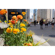 Sigma 28-45MM F/1.8 DG DN ART: Picture 10 thumbnail