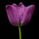 Sigma 28-45MM F/1.8 DG DN ART: Picture 7 thumbnail