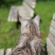 Sigma 28-45MM F/1.8 DG DN ART: Picture 8 thumbnail