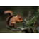 Sigma 300-600mm f/4: Picture 8 thumbnail