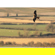 Sigma 300-600mm f/4: Picture 9 thumbnail