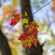 Sigma 30mm f/1.4 DC DN: Picture 6 thumbnail