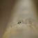 Sigma 35MM F/1.2 DG II ART: Picture 12 thumbnail