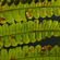 Sigma 35MM F/1.2 DG II ART: Picture 14 thumbnail
