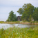 Sigma 35MM F/1.2 DG II ART: Picture 15 thumbnail
