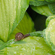 Sigma 35MM F/1.2 DG II ART: Picture 19 thumbnail