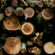 Sigma 35MM F/1.2 DG II ART: Picture 6 thumbnail