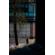 Sigma 50mm f/2.0 DG DN: Picture 12 thumbnail