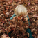 Sigma 56mm f/1.4 DC DN: Picture 6 thumbnail