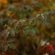 Sigma 56mm f/1.4 DC DN: Picture 5 thumbnail