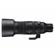 Sigma 60-600mm f/4.5-6.3 DG DN: Picture 3 thumbnail