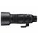 Sigma 60-600mm f/4.5-6.3 DG DN: Picture 4 thumbnail