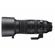Sigma 60-600mm f/4.5-6.3 DG DN: Picture 6 thumbnail