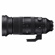Sigma 60-600mm f/4.5-6.3 DG DN: Picture 2 thumbnail