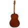Seagull Coastline Guitar: Picture 2 thumbnail