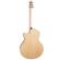 Seagull Natural Elements Guitar: Picture 2 thumbnail