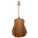 Seagull Excursion Walnut Guitar: Picture 2 thumbnail