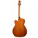 Seagull Entourage Guitar: Picture 2 thumbnail