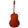 Seagull Entourage Guitar: Picture 2 thumbnail