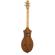 Seagull M4 Mahogany Dulcimer: Picture 1 thumbnail
