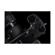 Sigma sd Quattro: Picture 6 thumbnail